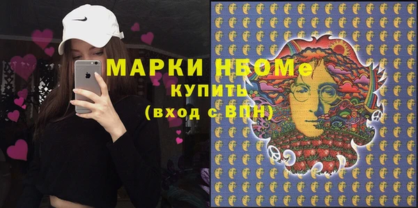 хмурый Алзамай