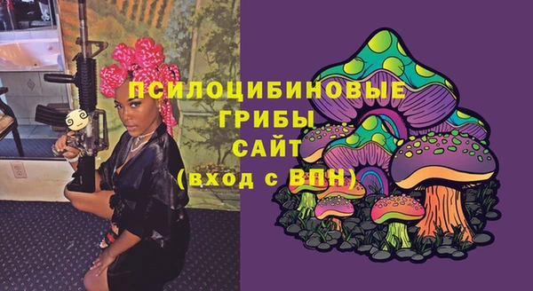 spice Алексин