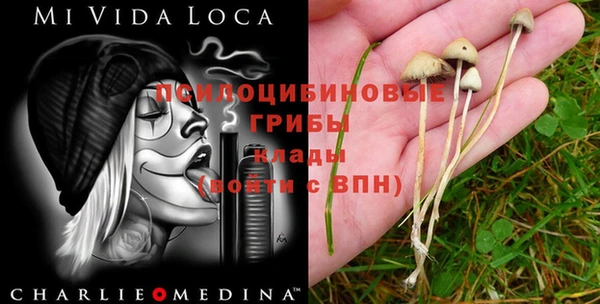 apvp Алексеевка