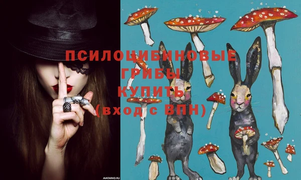 apvp Алексеевка